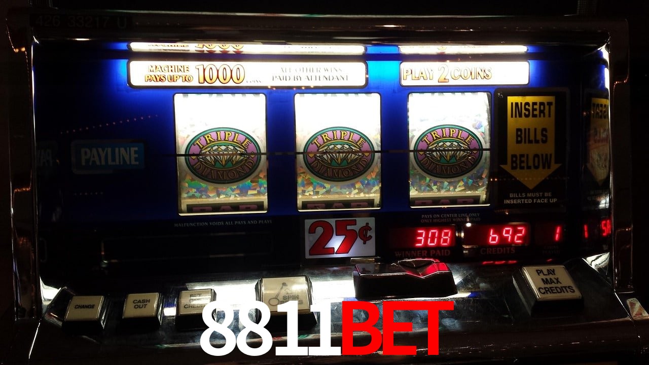 Experiência VIP 8811bet